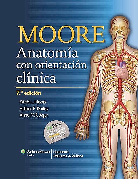 Anatomía con orientación clínica (Spanish Edition), Anne, Agur, Arthur F., Dalley, Keith L., Moore