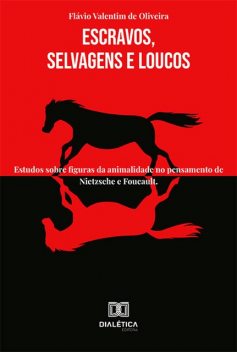 Escravos, Selvagens e Loucos, Flávio Valentim de Oliveira