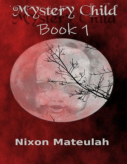 Mystery Child: Book 1, Nixon Mateulah