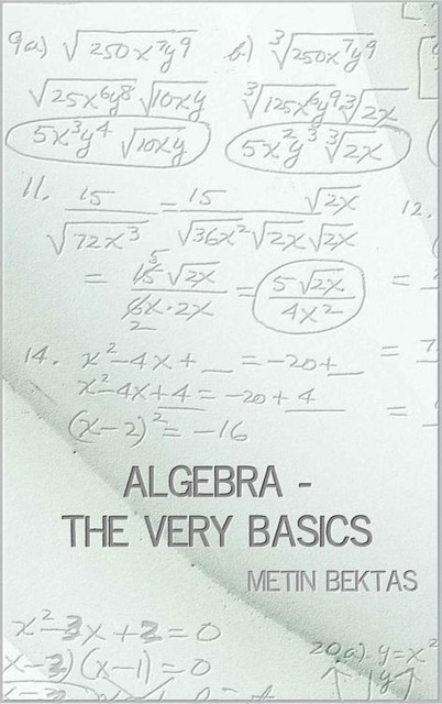 Algebra – The Very Basics, Metin Bektas