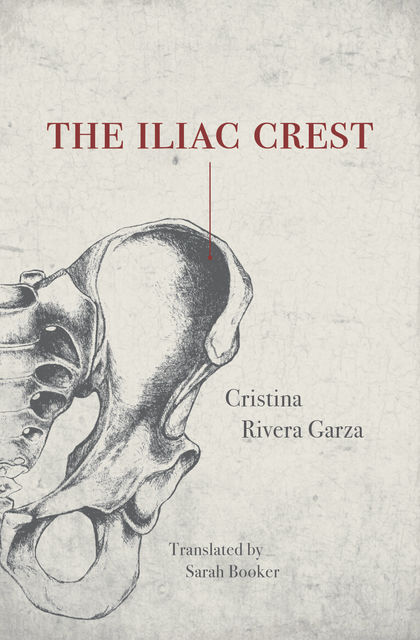 The Iliac Crest, Cristina Rivera Garza