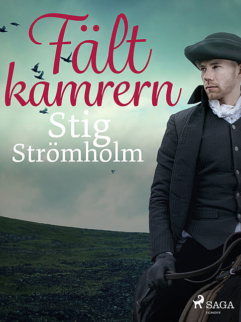 Fältkamrern, Stig Strömholm