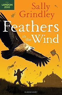 Feathers in the Wind, Sally Grindley