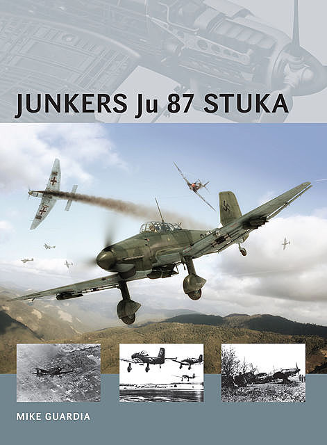 Junkers Ju 87 Stuka, Mike Guardia