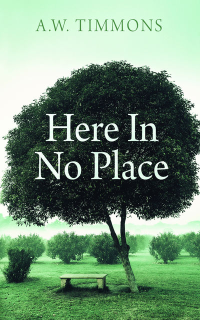 Here In No Place, A.W.Timmons