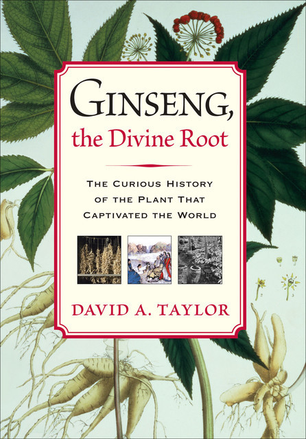 Ginseng, the Divine Root, David Taylor