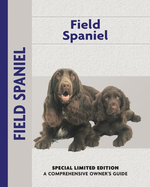 Field Spaniel, Becki Jo Hirschy