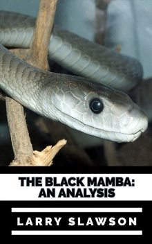 The Black Mamba, Larry Slawson