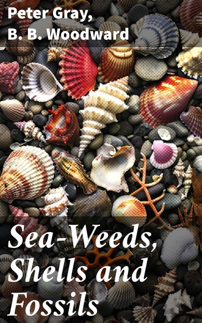 Sea-Weeds, Shells and Fossils, Peter Gray, B.B. Woodward