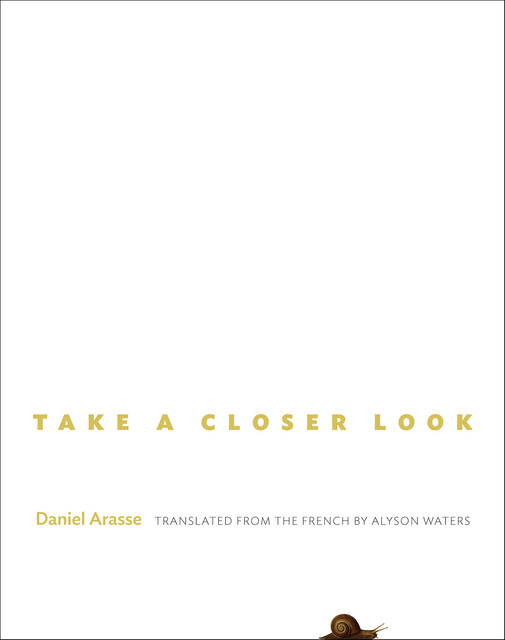 Take a Closer Look, Daniel Arasse