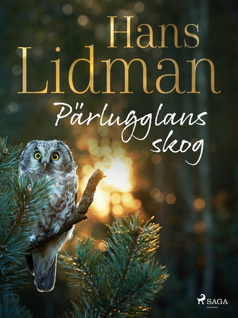Pärlugglans skog, Hans Lidman