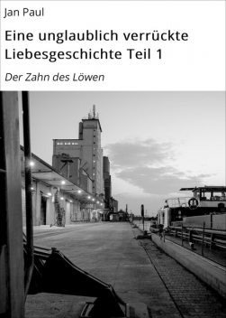 Eine unglaublich verrückte Liebesgeschichte Teil 1, Jan Paul