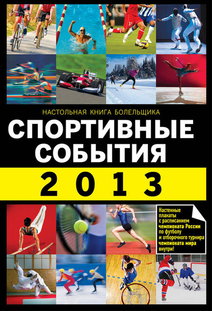 Спортивные события 2013, Николай Яременко