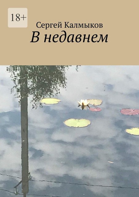 В недавнем, Сергей Калмыков