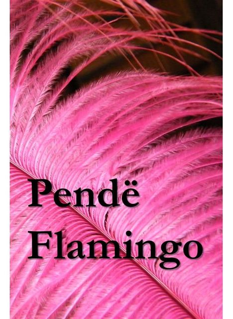 Pendë Flamingo, Kirk Munroe