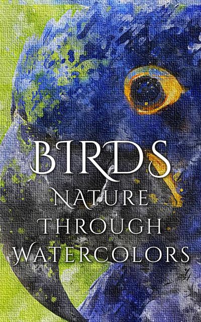 Birds – Nature through Watercolors, Daniyal Martina