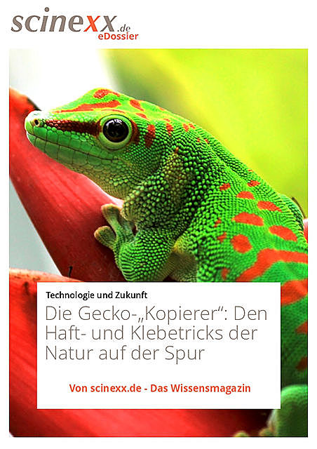 Die Gecko-"Kopierer", Nadja Podbregar
