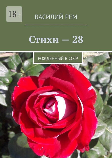 Стихи — 28. Рожденный в СССР, Василий РЕМ