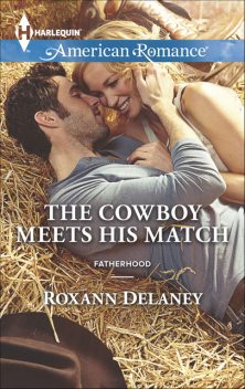 The Cowboy Meets His Match, Roxann Delaney