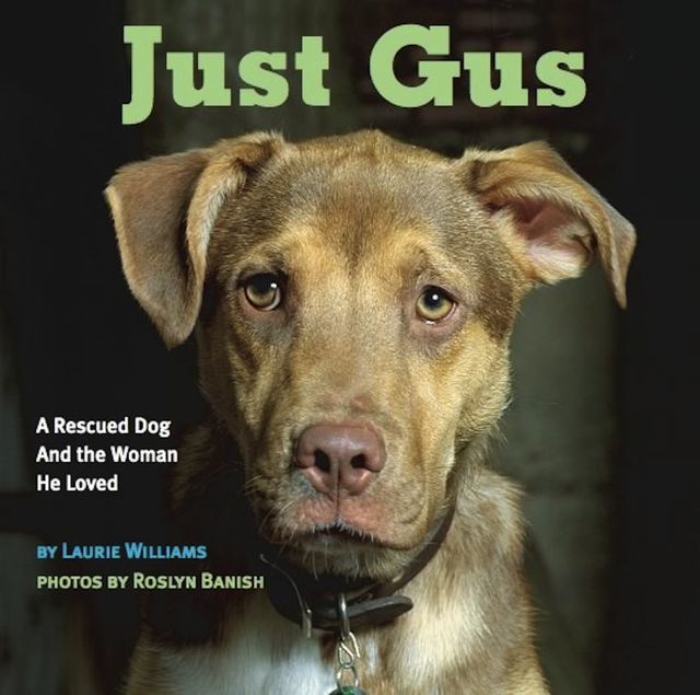 Just Gus, Laurie Williams