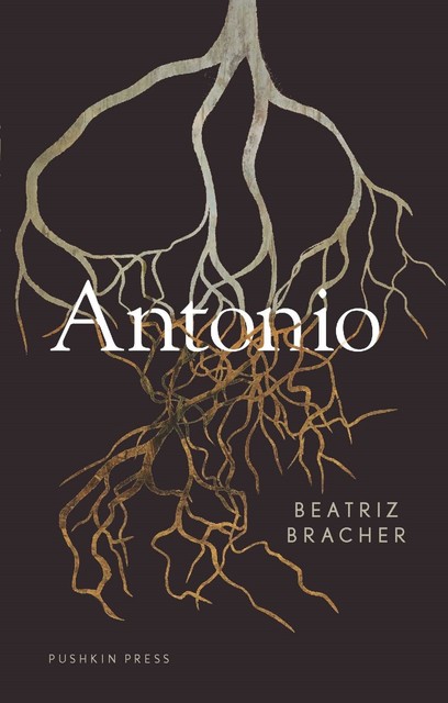 Antonio, Beatriz Bracher