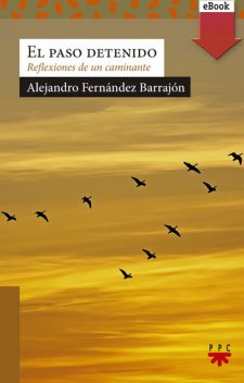 El paso detenido, Alejandro Fernández Barrajón