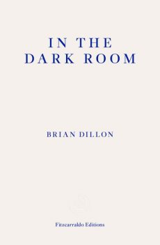 In the Dark Room, Brian Dillon