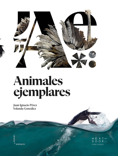 Animales ejemplares, Juan Perez
