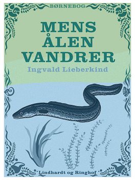 Mens ålen vandrer, Ingvald Lieberkind