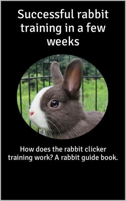 Successful rabbit training in a few weeks, Thorsten Hawk