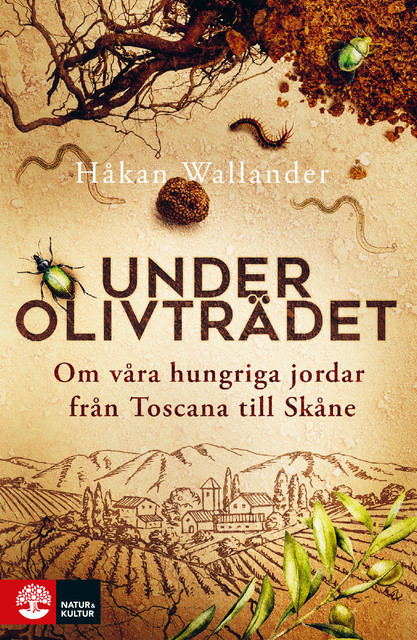 Under olivträdet, Håkan Wallander