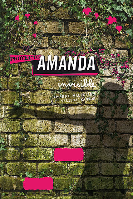 Proyecto Amanda: Invisible, Melissa Kantor