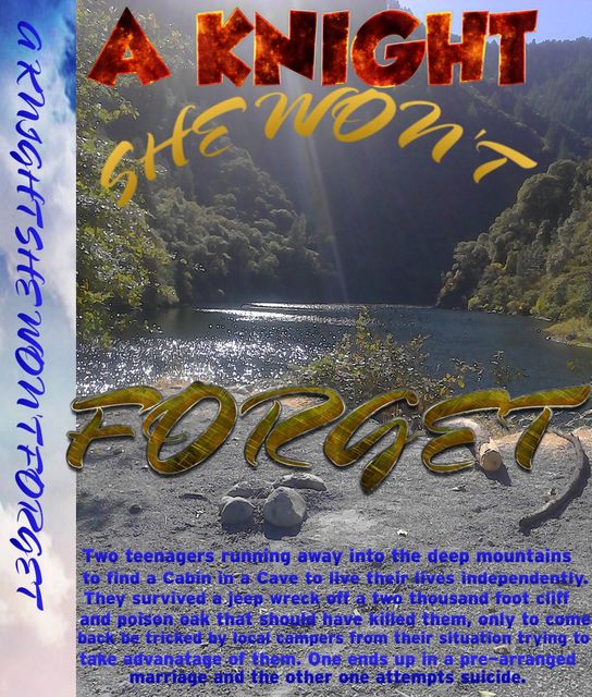 A Knight She Won't Forget, David L.Aragon