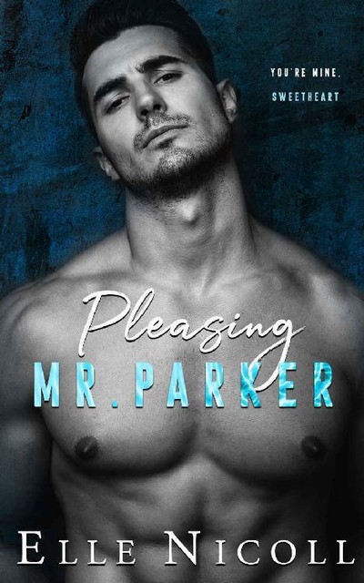 Pleasing Mr. Parker: A steamy grumpy boss romance (The Men Series Book 5), Elle Nicoll