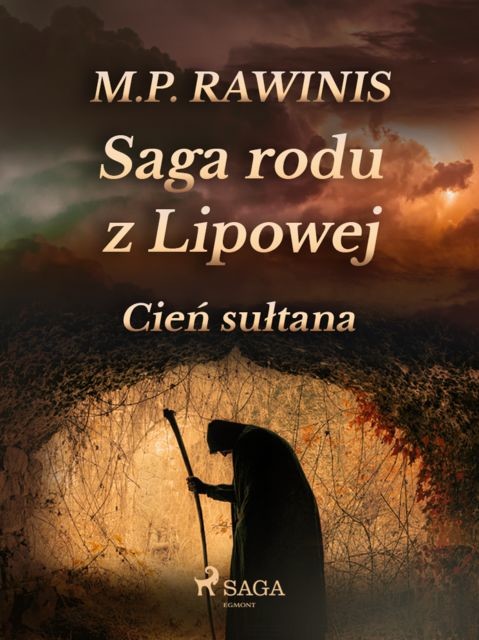 Saga rodu z Lipowej 16: Cień sułtana, Marian Piotr Rawinis