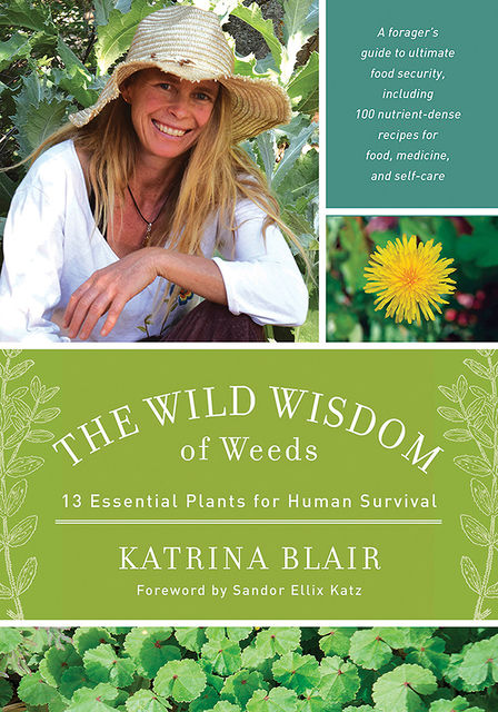 The Wild Wisdom of Weeds, Katrina Blair