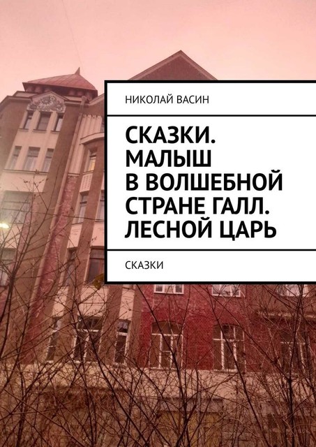 Сказки. Малыш в волшебной стране Галл. Лесной царь, Николай Васин