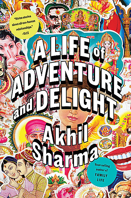 A Life of Adventure and Delight, Akhil Sharma