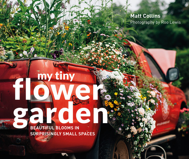 My Tiny Flower Garden, Matt Collins