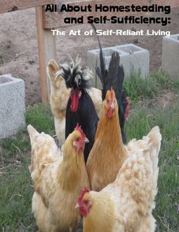 All About Homesteading and Self-Sufficiency: The Art of Self-Reliant Living, Sean Mosley