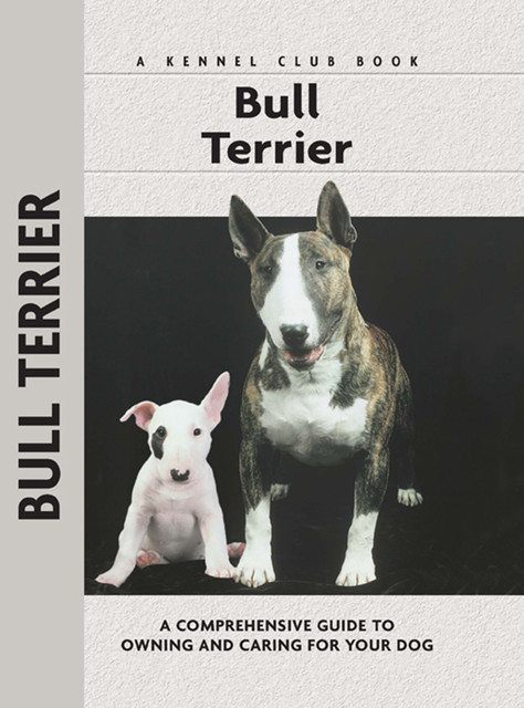 Bull Terrier, Bethany Gibson