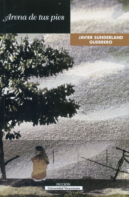Arena de tus pies, Javier Guerrero