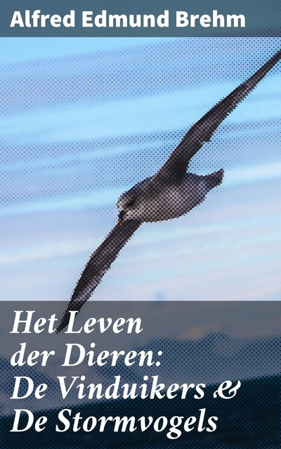 Het Leven der Dieren: De Vinduikers & De Stormvogels, Alfred Edmund Brehm
