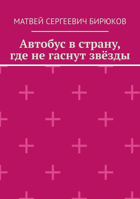 Автобус в страну, где не гаснут звезды, Матвей Бирюков