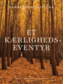 Et kærlighedseventyr, Henrik Pontoppidan