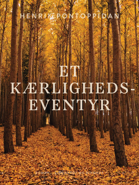 Et kærlighedseventyr, Henrik Pontoppidan