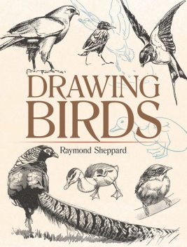 Drawing Birds, Raymond Sheppard