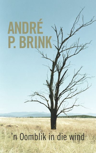 'n Oomblik in die wind, André P Brink