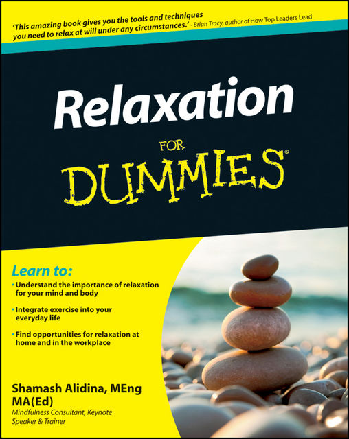 Relaxation For Dummies, Shamash Alidina