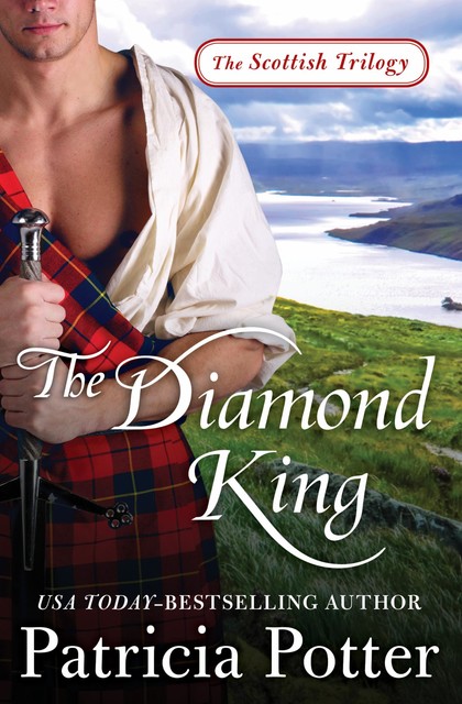 The Diamond King, Patricia Potter